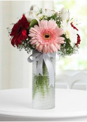 Vazoda Gerbera